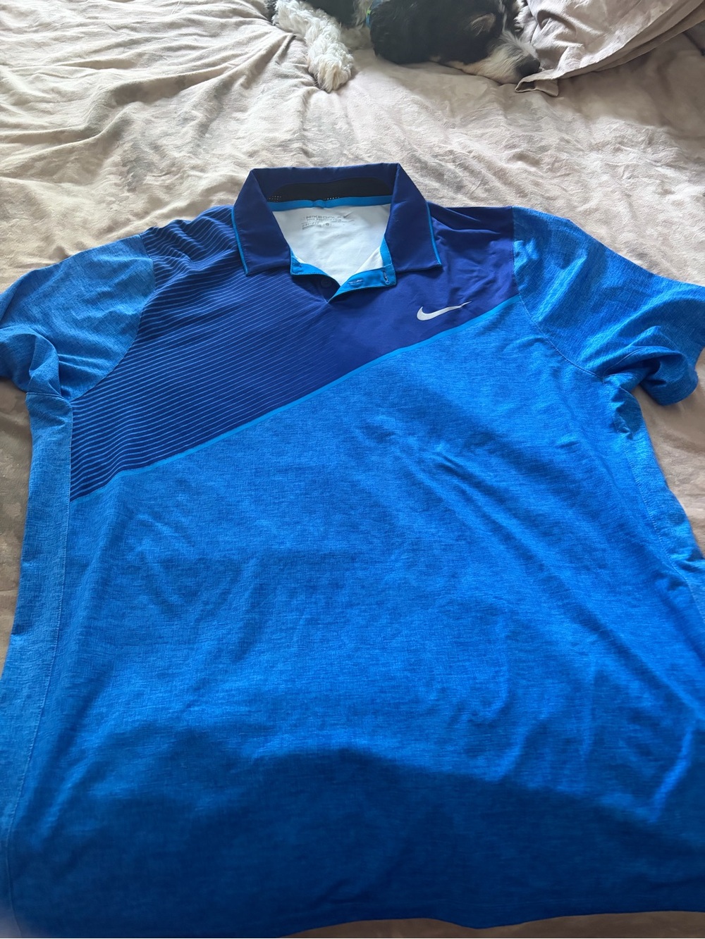 Nike Men's Two-Tone Royal Blue Performance Polo
